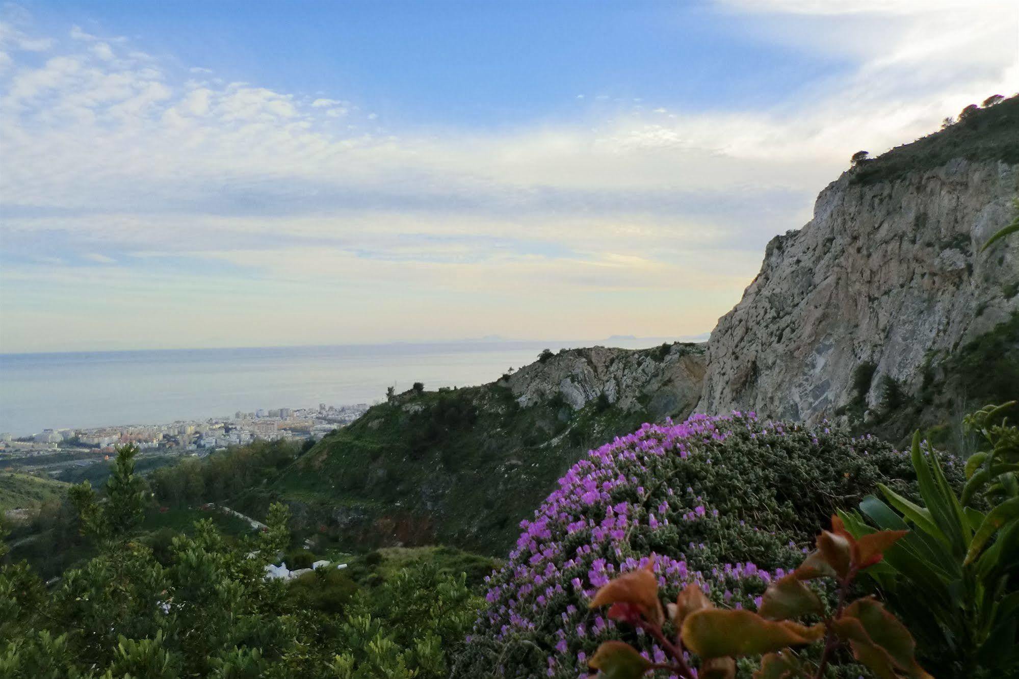 B&B Muse Marbella Exteriör bild